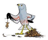Pan_blotniak-jpg