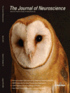 Jneurosci_6