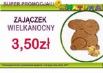 Zajac